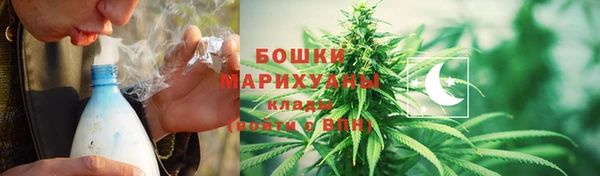 ПСИЛОЦИБИНОВЫЕ ГРИБЫ Богородицк