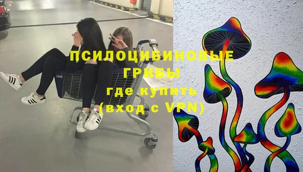 бутират Белокуриха