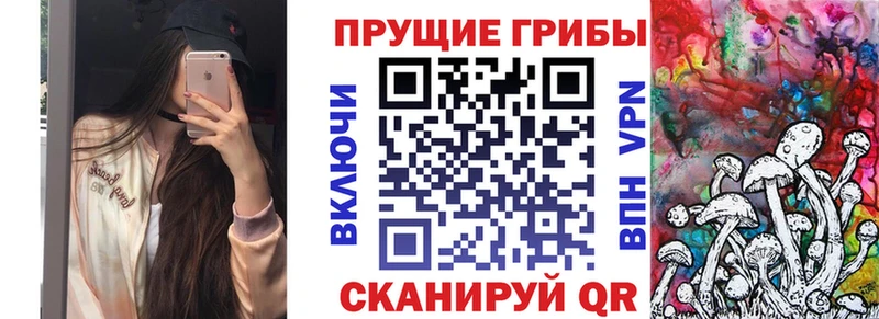 KRAKEN зеркало Луховицы Галлюциногенные грибы Cubensis