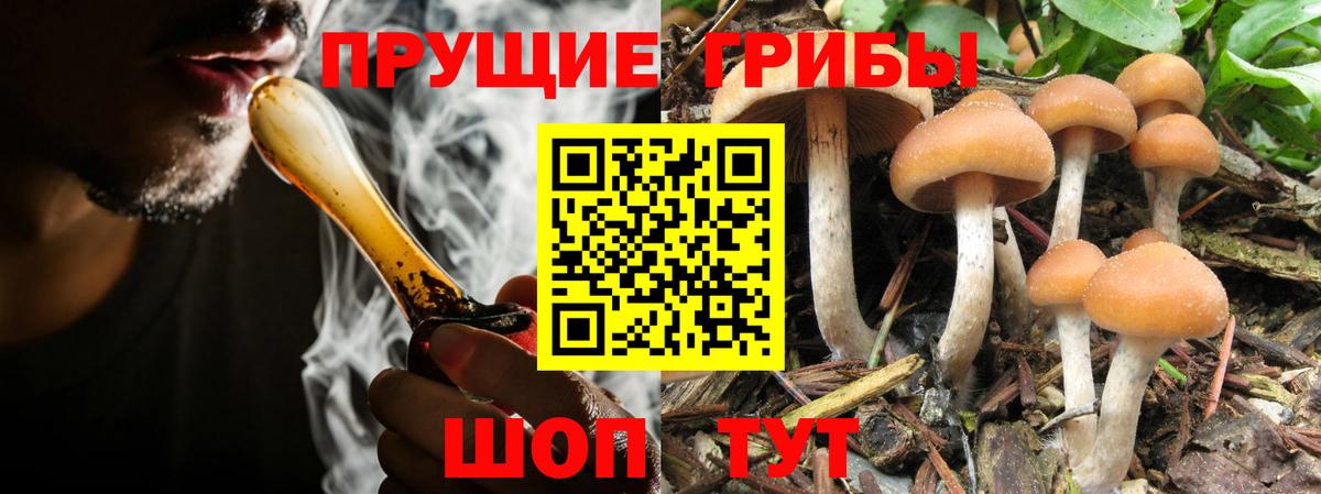 Псилоцибиновые грибы MAGIC MUSHROOMS Луховицы