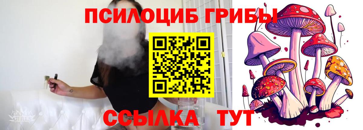 Галлюциногенные грибы Psilocybine cubensis  Вход с VPN  Луховицы  Галлюциногенные грибы Magic Shrooms 